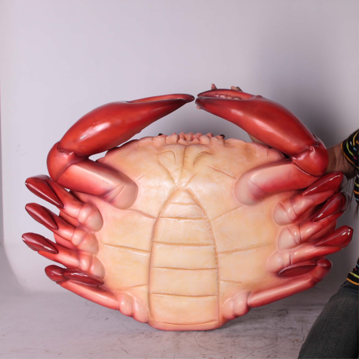 Natureworks Australia Crab - 3ft 100012 - shown on beach