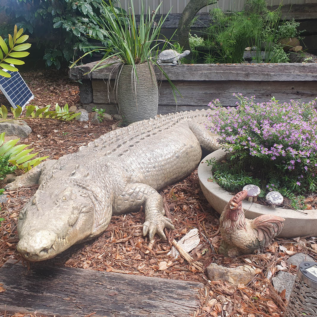 Natureworks Australia 12 ft saltwater crocodile sculpture in garden- 080123