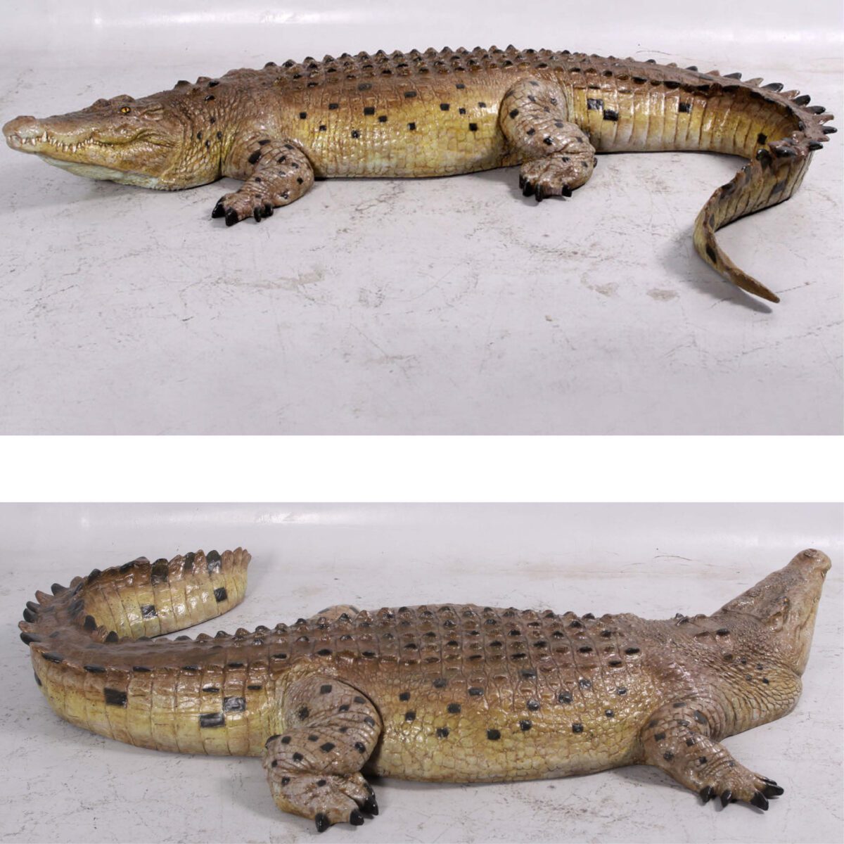 Natureworks Australia Crocodile 12ft showing front side view and rear side view- 080123