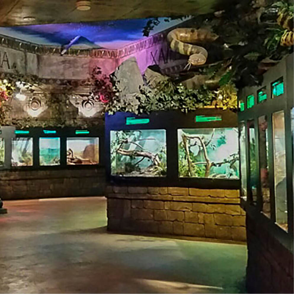Natureworks Australia Crocodile God Giant Statue Showing inside reptile exhibit