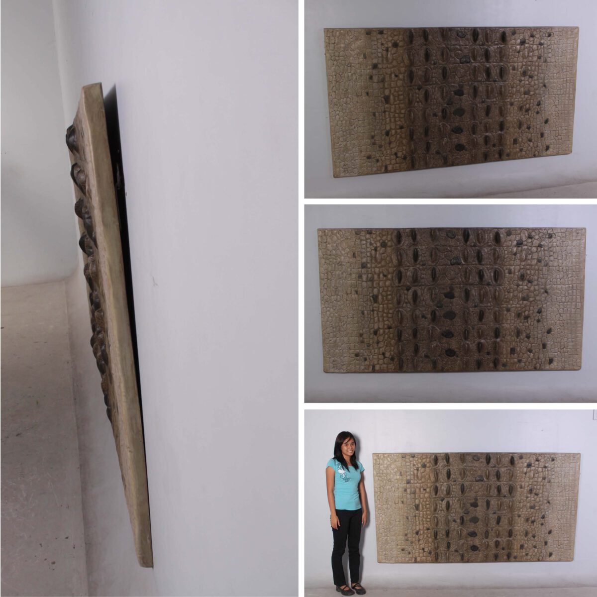 Natureworks Australia Crocodile Skin Panel / Wall or Ceiling - large scaled - 220cm long - 28kg - SKU 100071 -shown handing on wall with lady