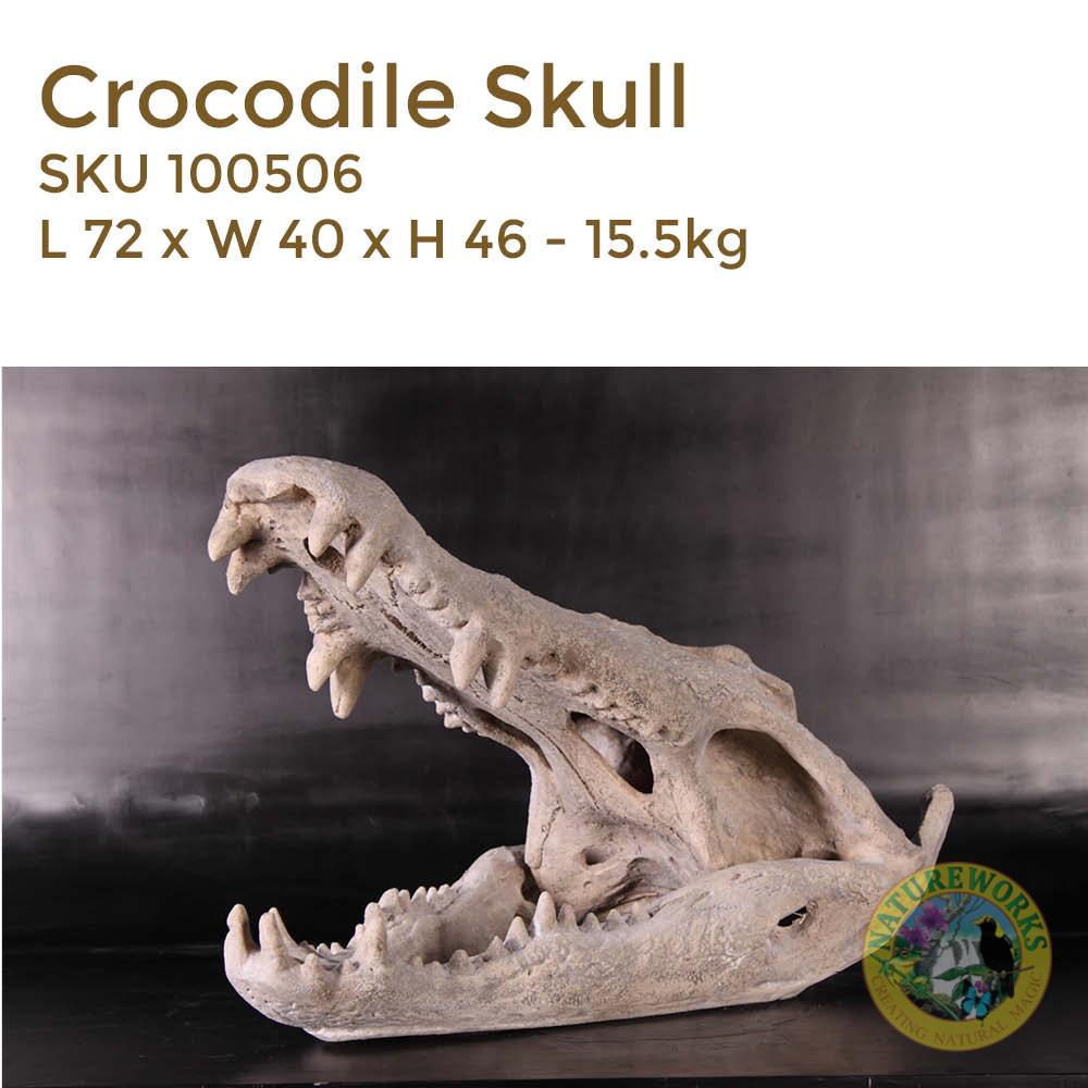 Natureworks Australia Crocodile Skull - replica - made of fibreglass - cast from from 12ft saltwater crocodile - SKU 100506 - side view