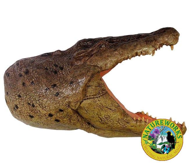 Crocodile Head ft Wall Plaque