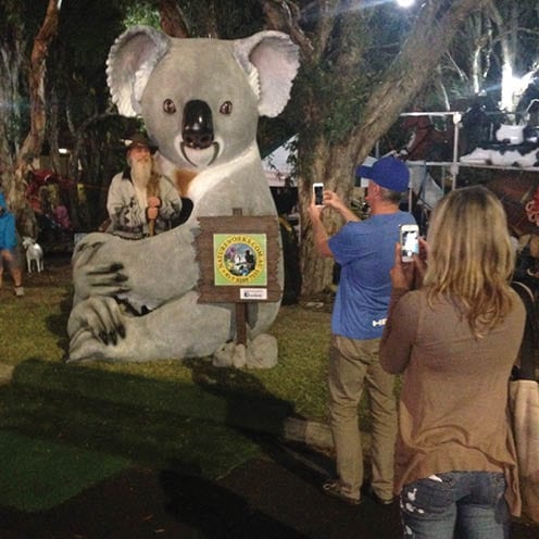 Natureworks Australia Cuddle the Koala Image Gallery Wizard V