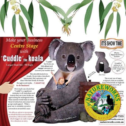 Natureworks Australia Cuddle the Koala Image Gallery conservation feature V