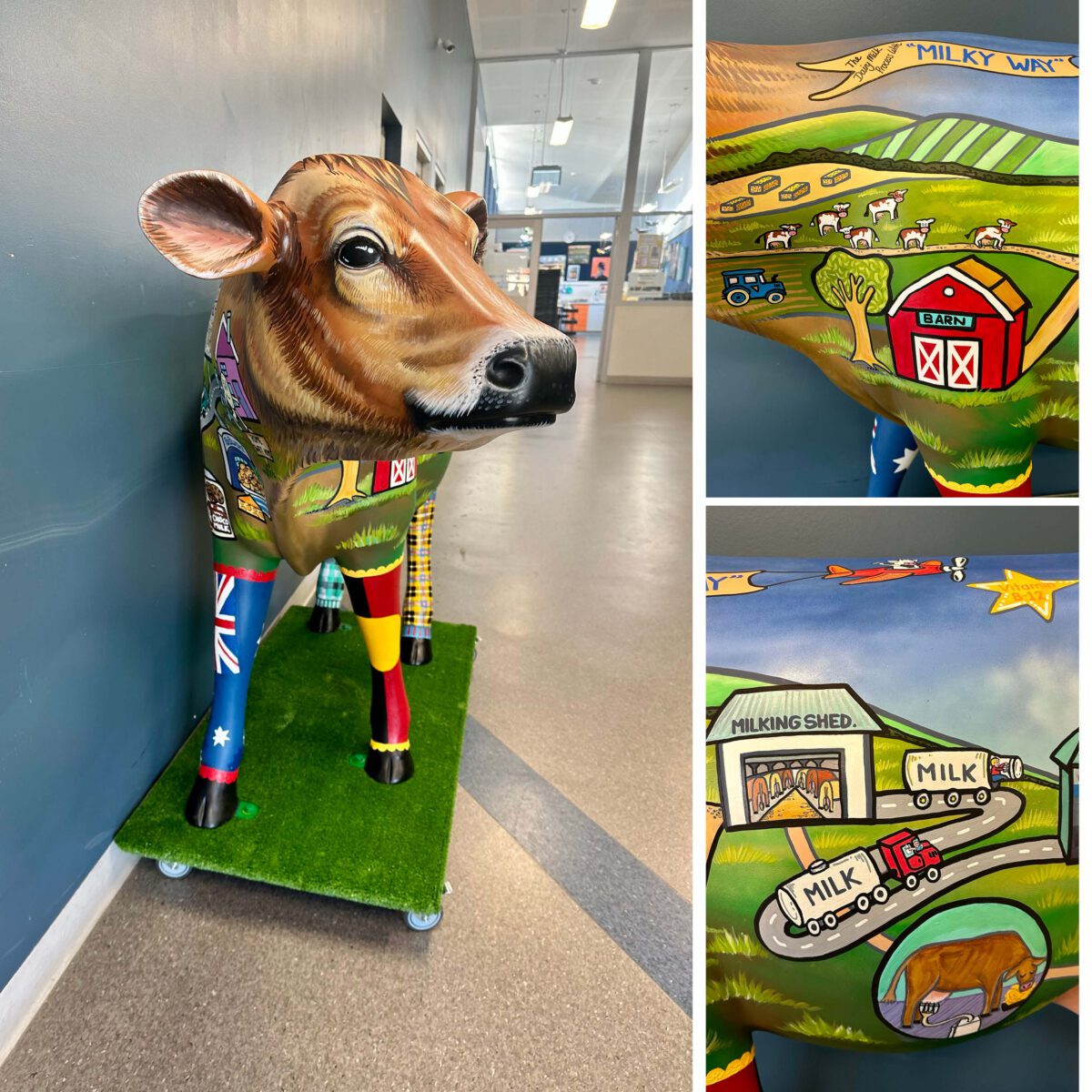 Natureworks Australia Life Size Guernsey Cow - Image 4