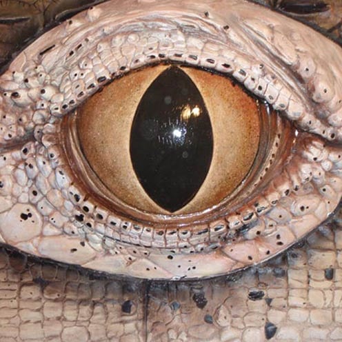 Custom Projects Category Sydney Aquarium large crocodile eye - sculpture art for sale