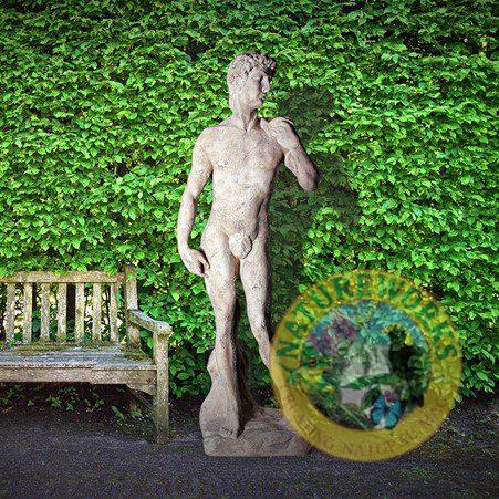David Satue on Base - 030322RS - Roman stone finish - garden statue - front view shwon in garden