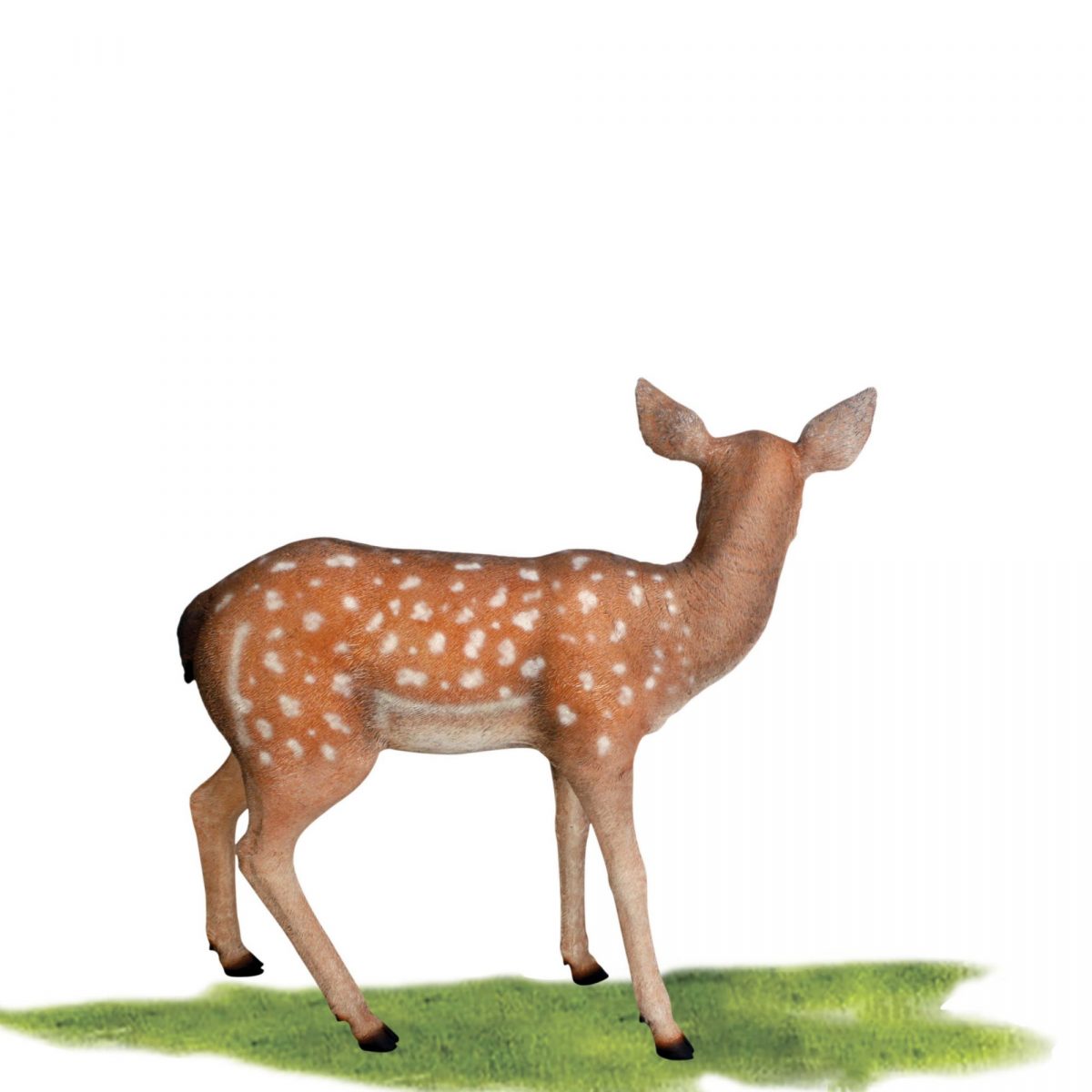 Natureworks Australia fallow Deer fawnsculpture