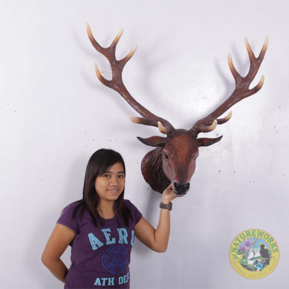 Natureworks Australia Deer stag head - Wall mount - red - sku 130095 - shown with lady mounted on wall for size comparison