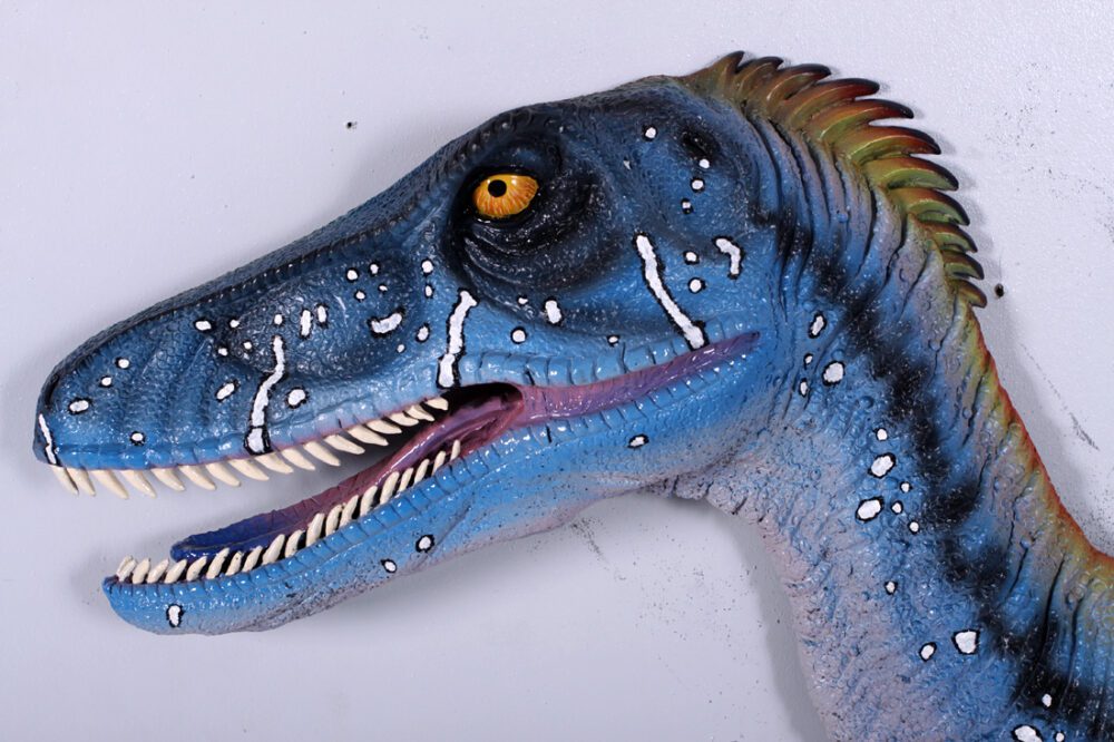 Natureworks Australia Deinonychus Dinosaur Wall Decor - Blue -3D with flat back - ideal as a bedhead, wall decor or themed exhibit - SKU 140029 - Showing close up of head