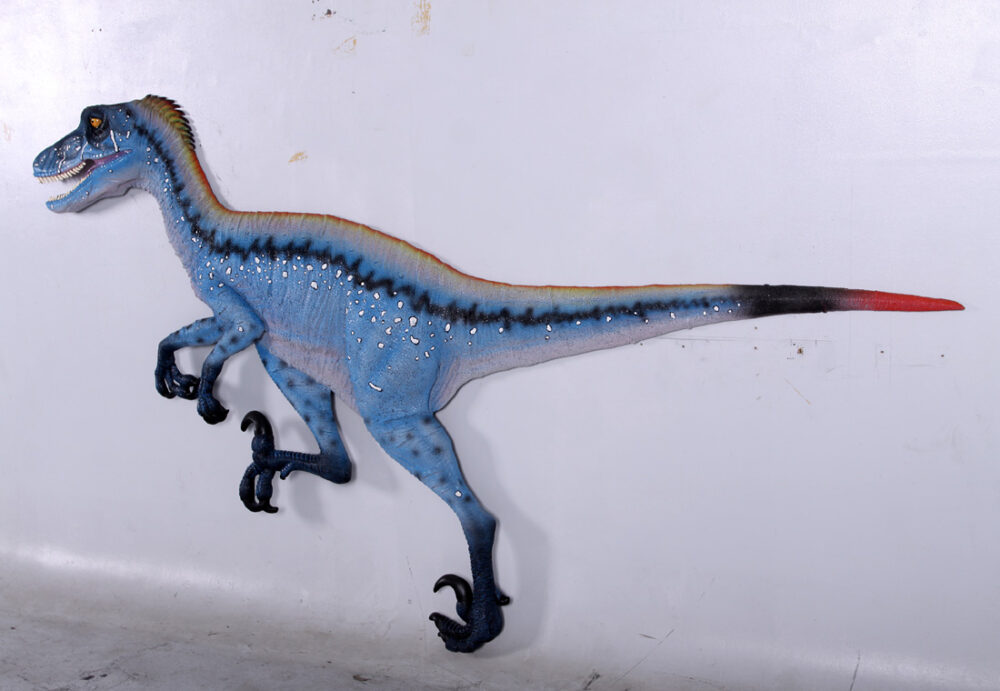Natureworks Australia Deinonychus Dinosaur Wall Decor - Blue -3D with flat back - ideal as a bedhead, wall decor or themed exhibit - SKU 140029 - showing rear view on wall