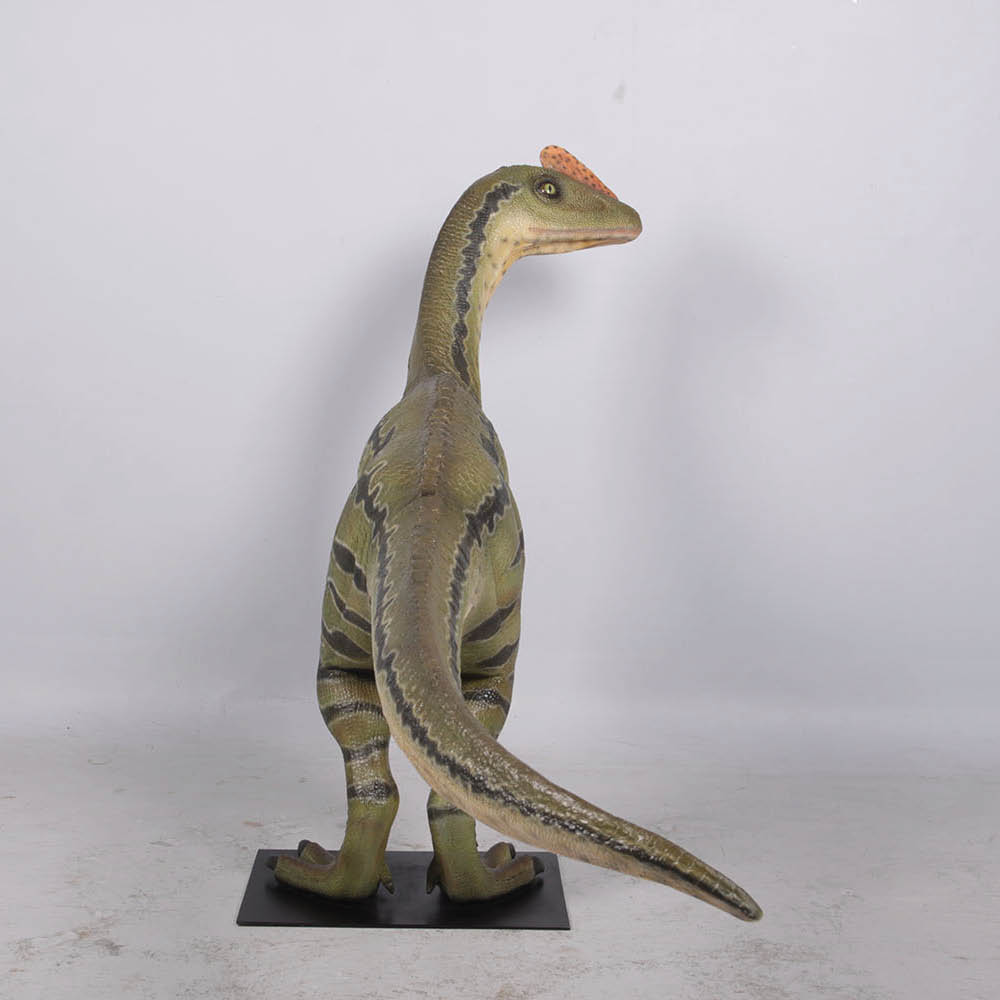 Natureworks Australia Dilong Paradoxus - Brown - Image 4