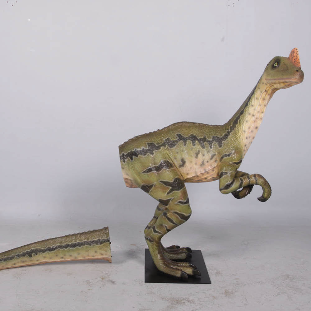 Natureworks Australia Dilong Paradoxus - Brown - Image 2