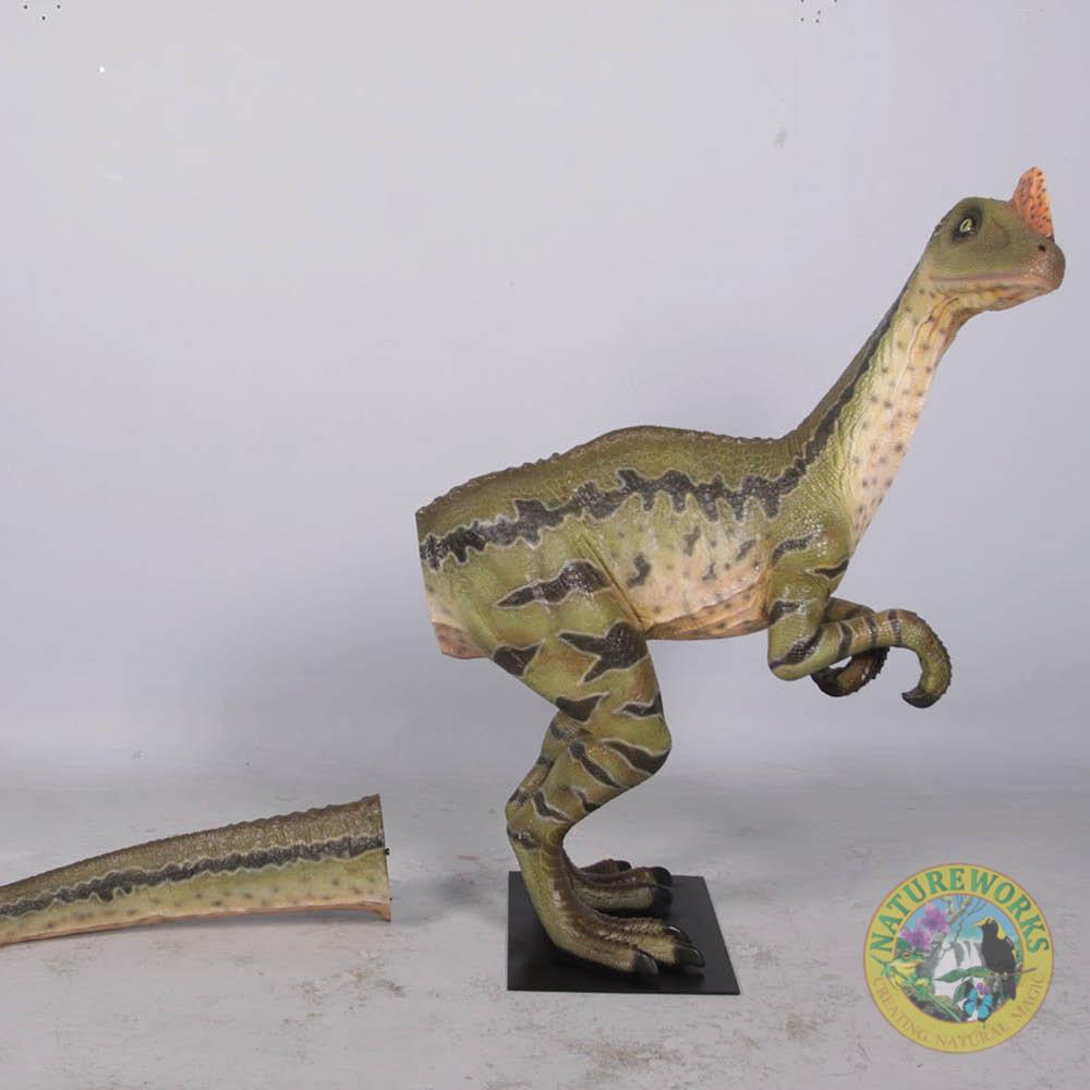 Natureworks Australia Dilong Paradoxus - Brown - Image 2