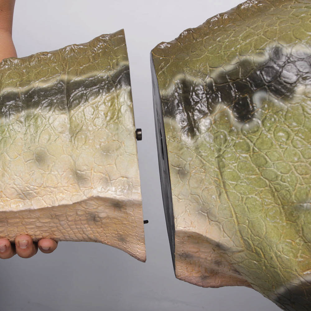 Natureworks Australia Dilong Paradoxus - Brown - Image 3