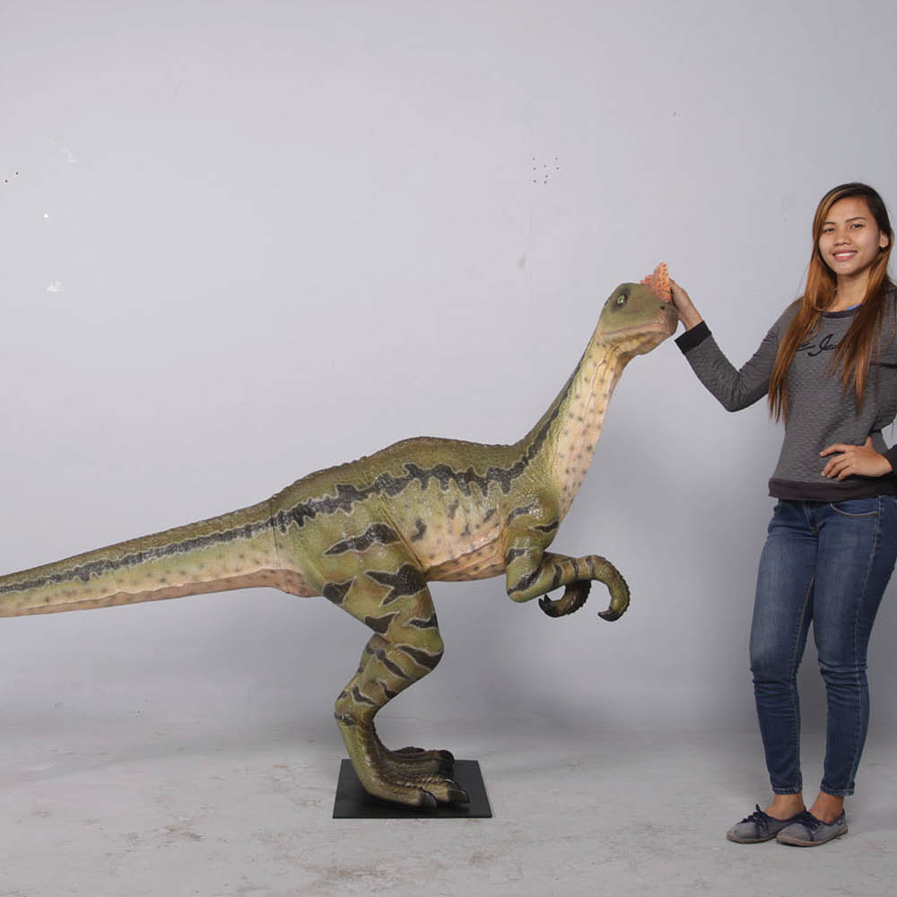 Natureworks Australia Dilong Paradoxus - Brown - Image 5