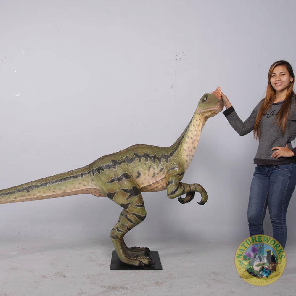 Natureworks Australia Dilong Paradoxus - Brown - Image 5