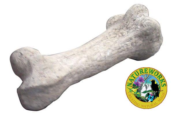 Dinosaur Bone Sauropod Femur