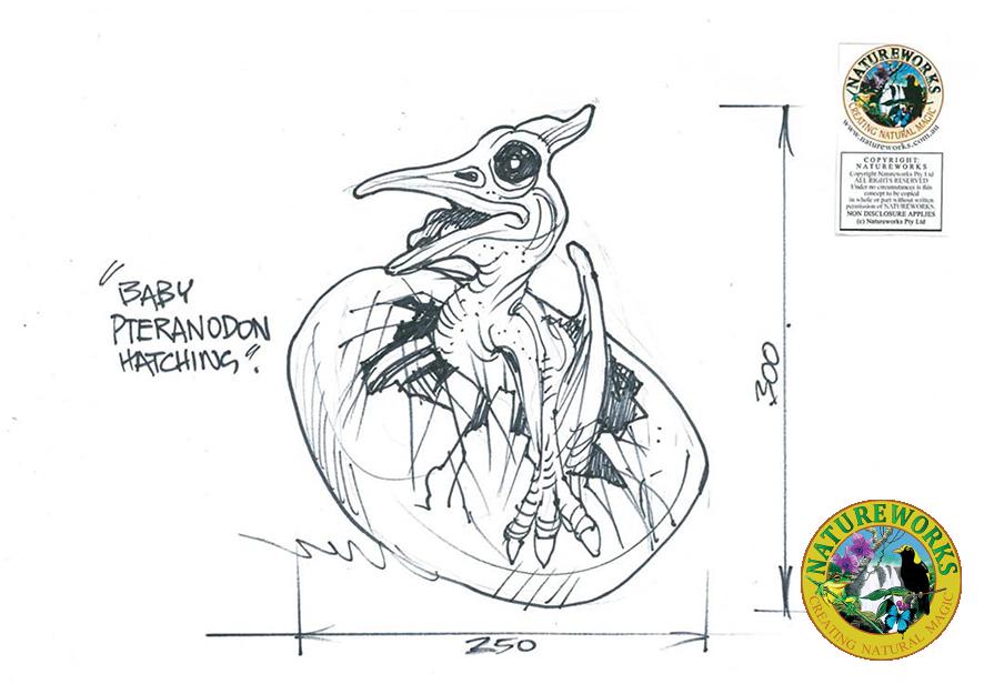 Natureworks Australia Pteranodon baby hatching- Concept Design 140037