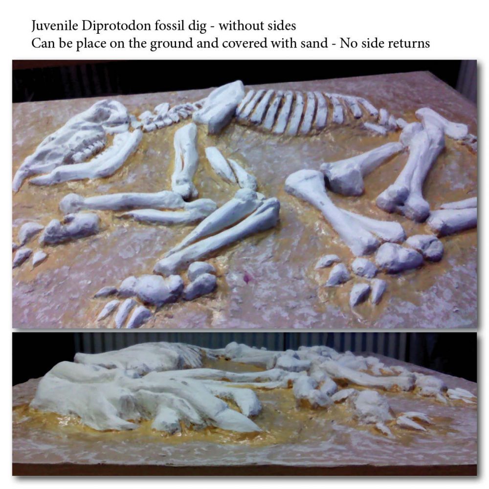Diprotodon juvenile fossil Dig without sides Product Image  px px