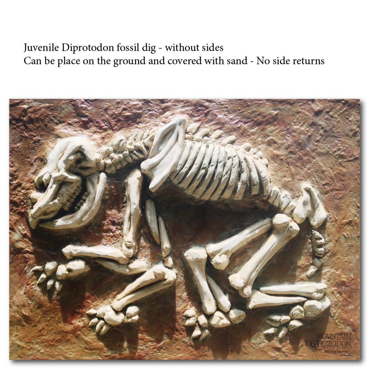 Natureworks Australia Diprotodon juvenile fossil Dig without sides Product Image px px