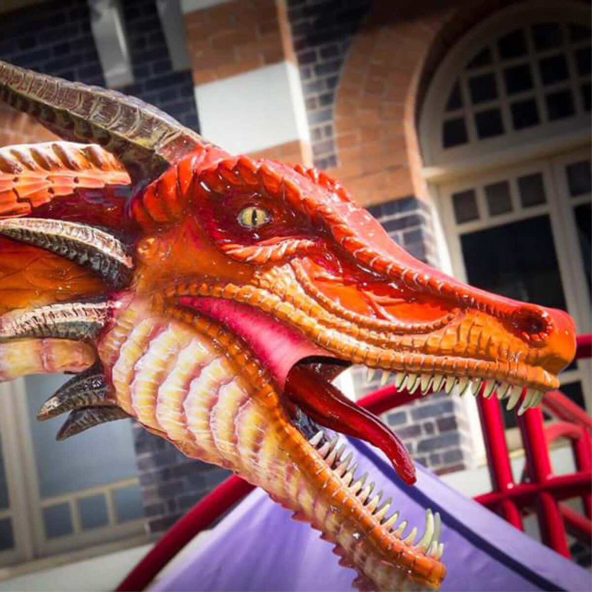 Natureworks Australia Dragon STanding - 7ft Red - 100043- shown on float at medieval festival - close up of head