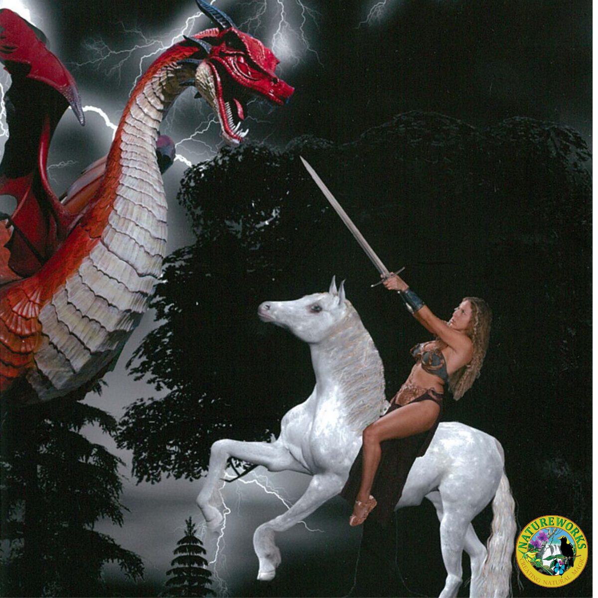 Natureworks Australia Red Dragon Standing - Image 6