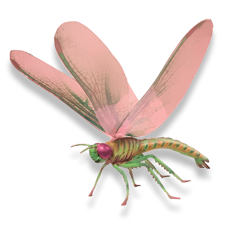 Dragonflies Larger than Lifesize Image  pink