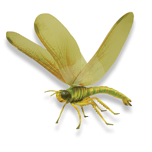 Dragonflies Larger than Lifesize Image  Yellow