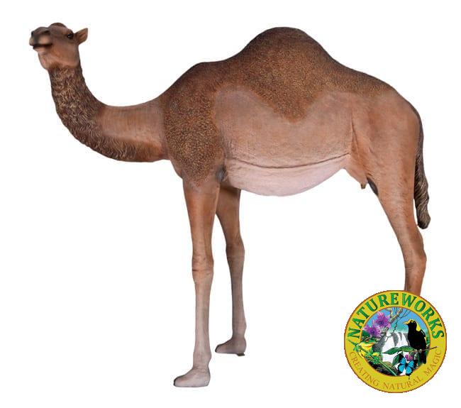 Brown Colored Standing Adult Female One Humped Camel Sculpture
