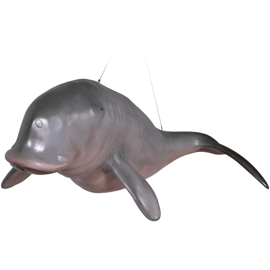 Natureworks Australia Dugong Hanging