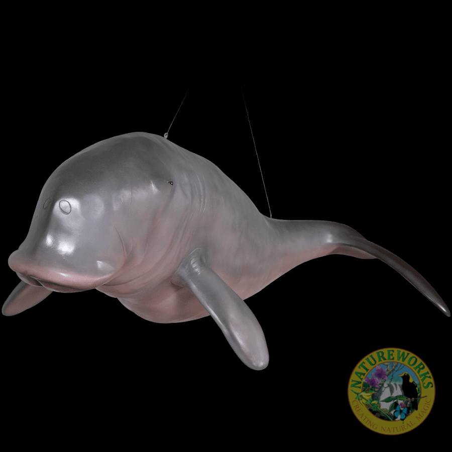 Natureworks Australia Dugong Hanging