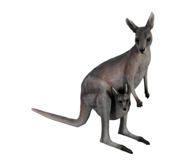 Eastern Grey Kangaroo With Joey