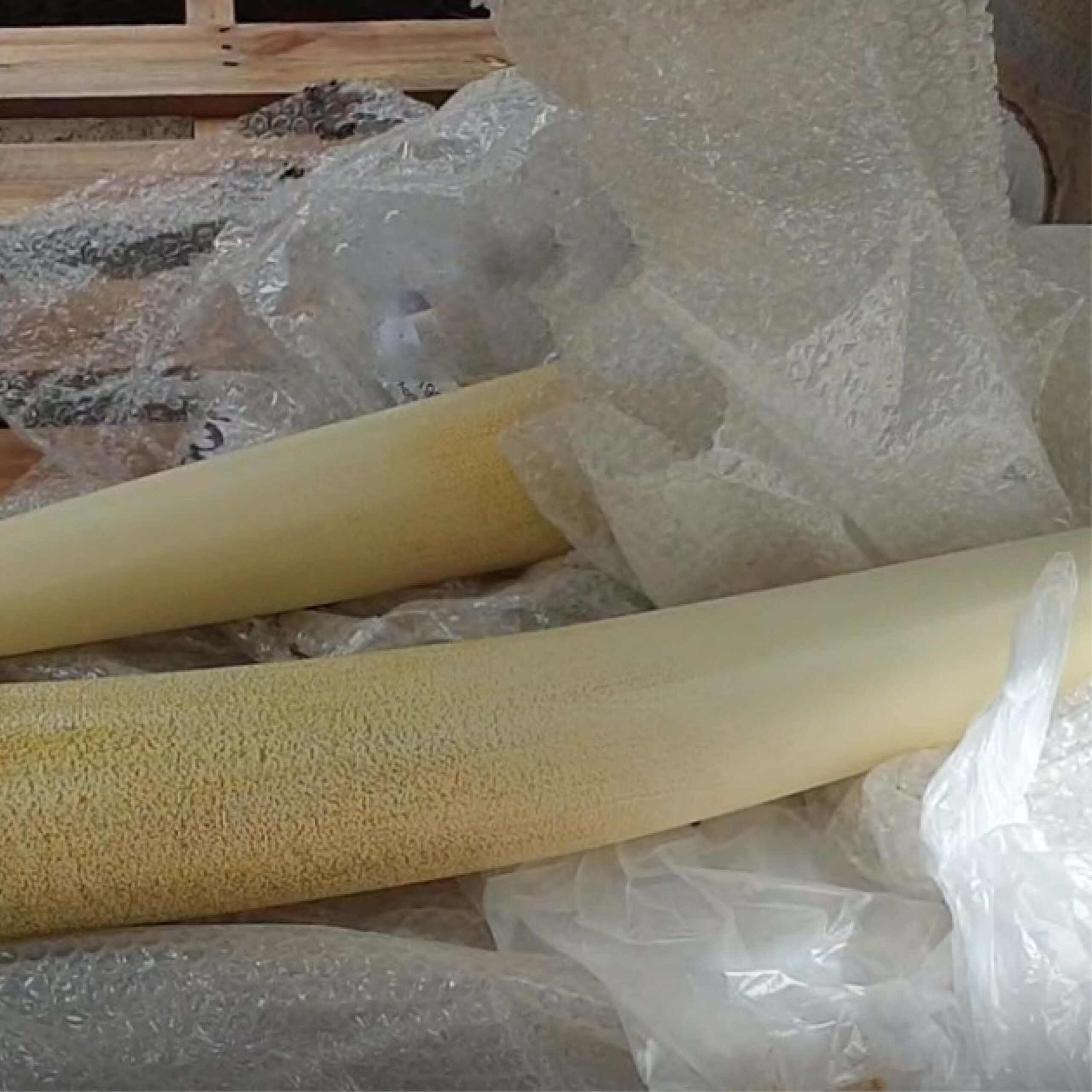 Natureworks Australia African Elephant - 8ft - 100059- L 374 x W 196 c 243cm - 230kg - standing pose - amazing sculpture - showing separte packaging for large tusks to be inserted when in situ.