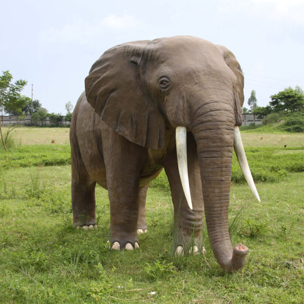 African Elephant - 8ft - 100059- L 374 x W 196 c 243cm - 230kg - standing pose - amazing sculpture = outside showing front angle view