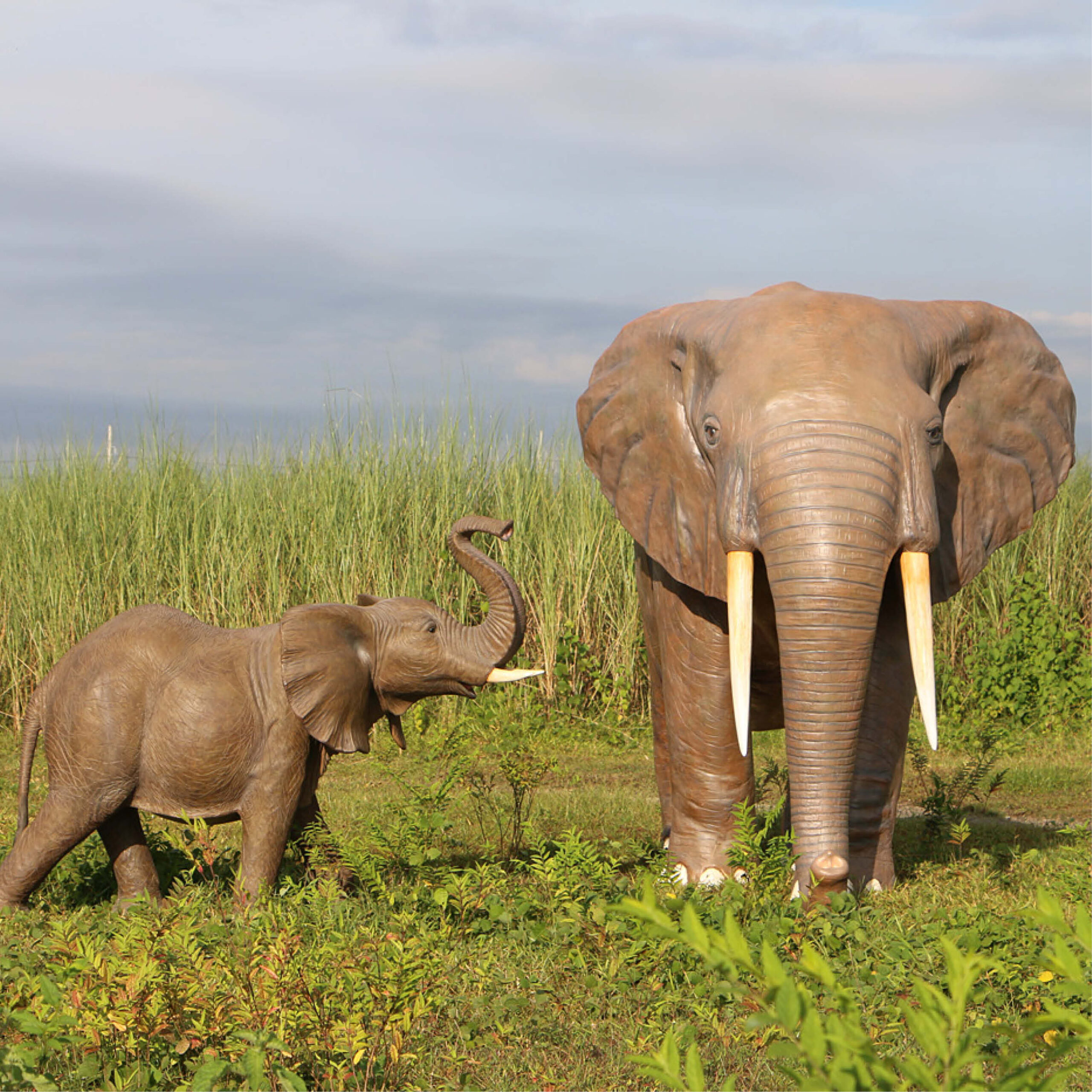 Natureworks Australia African Elephant - 8ft - 100059- L 374 x W 196 c 243cm - 230kg - standing pose - amazing sculpture - shown outside with smaller african elephant calf
