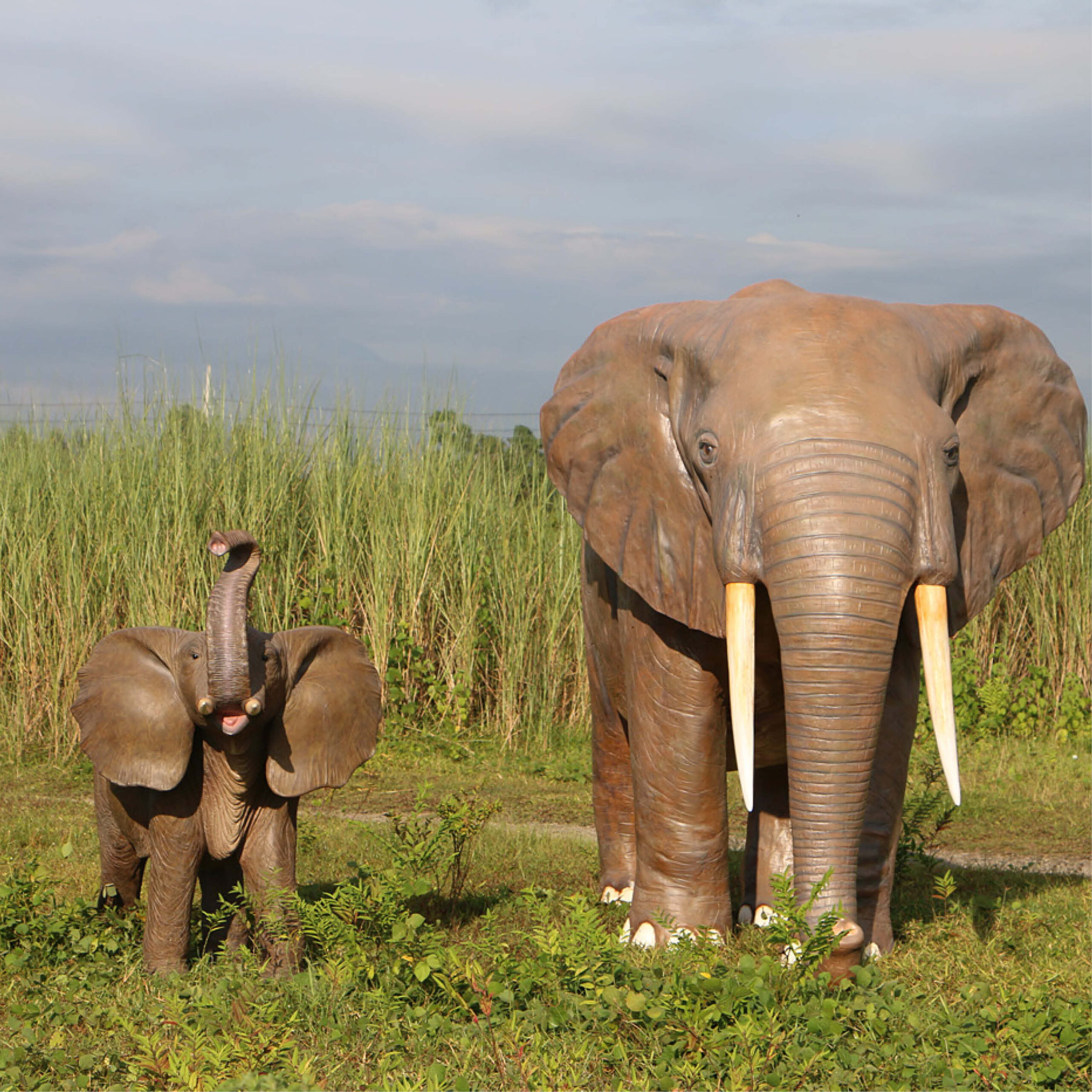 Natureworks Australia African Elephant - 8ft - 100059- L 374 x W 196 c 243cm - 230kg - standing pose - amazing sculpture - front view - shown outside on grass