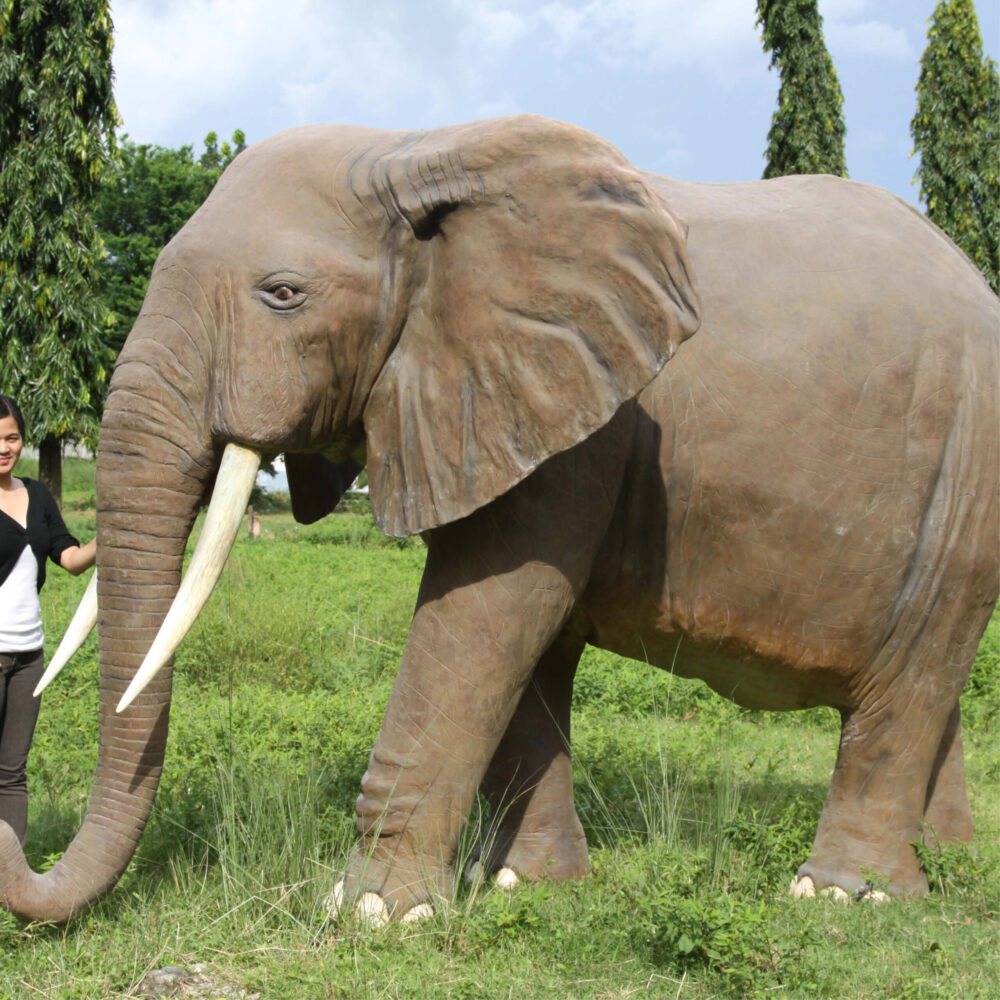 African Elephant - 8ft - 100059- L 374 x W 196 c 243cm - 230kg - standing pose - amazing sculpture - outside - side view with lady