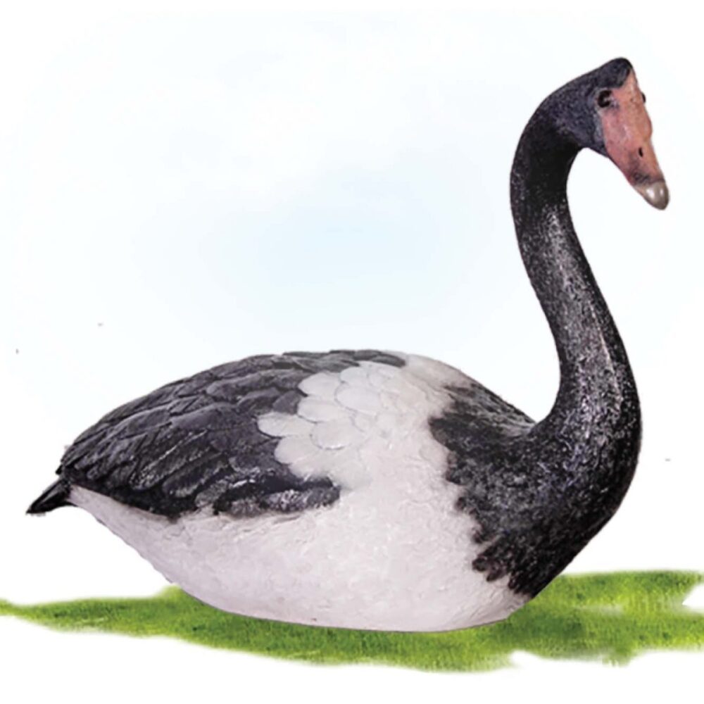 Farm Birds Magpie Goose Sitting Product Image V px px