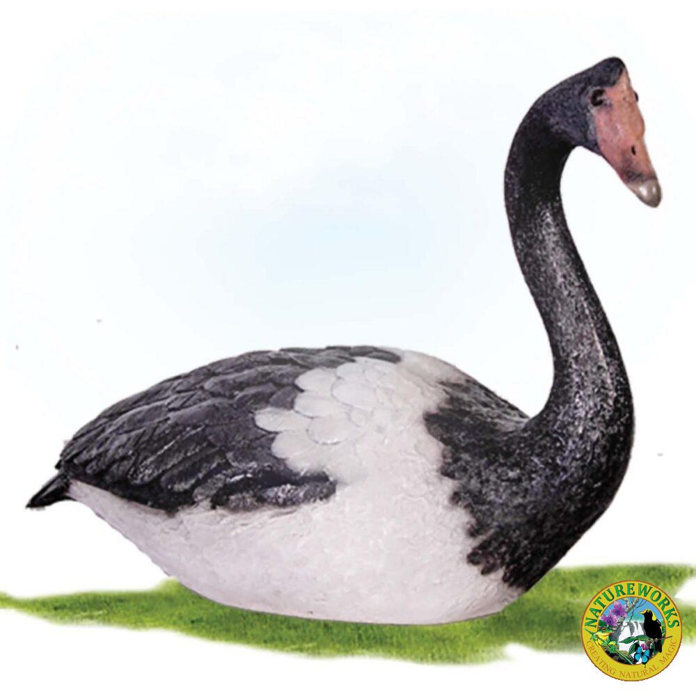 Farm Birds Magpie Goose Sitting Product Image V px px