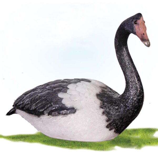 Farm Birds Magpie Goose Sitting Product Image  V px px