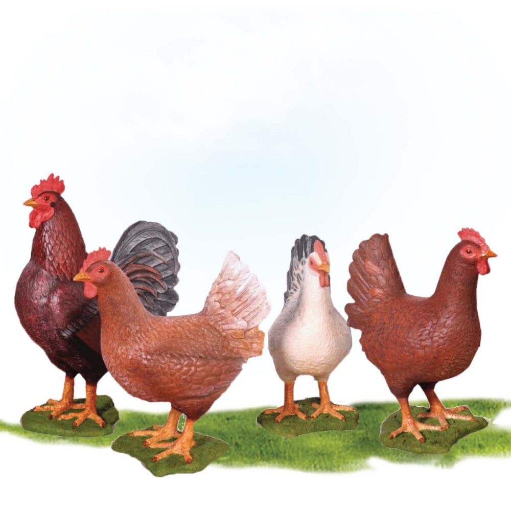 FibreglassChickenSet RoosterandHensSet
