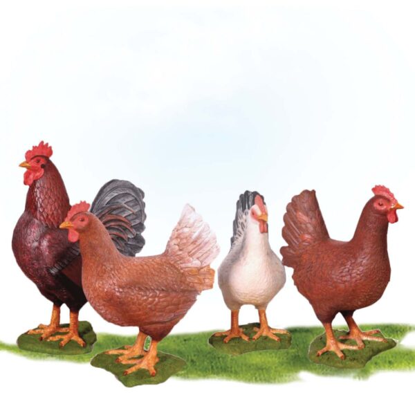 FibreglassChickenSet RoosterandHensSet