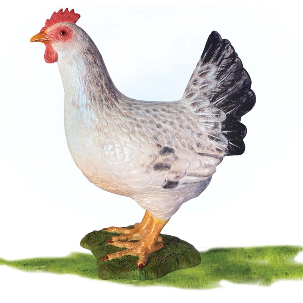 WhiteHen FarmBirds