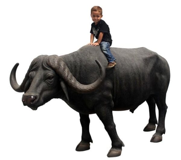 Fibreglass African Buffalo Statue