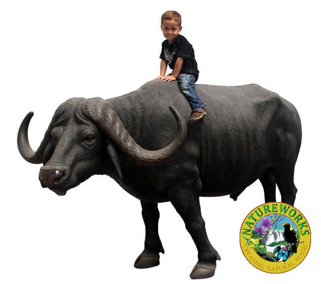Fibreglass African Buffalo Statue