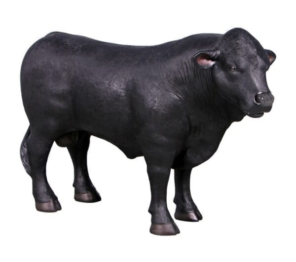 Fibreglass Angus Definitive Sculpture Facing Right