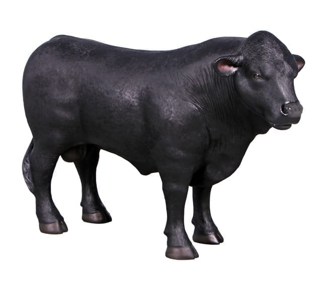 Fibreglass Angus Definitive Sculpture Facing Right