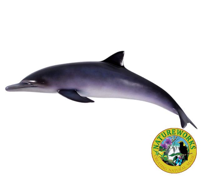 Fibreglass Baby Dolphin Model
